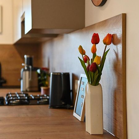 Veliki Apartman Petra بوسيدارجي المظهر الخارجي الصورة
